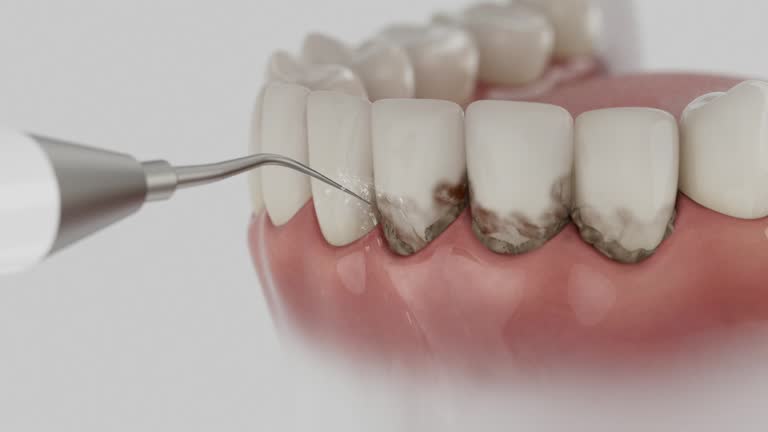 Reliable Dental contractor in Jefferson, TX by Dentist Open Now